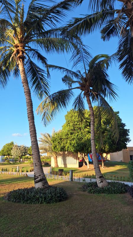 Al Hamra Residence фото 64