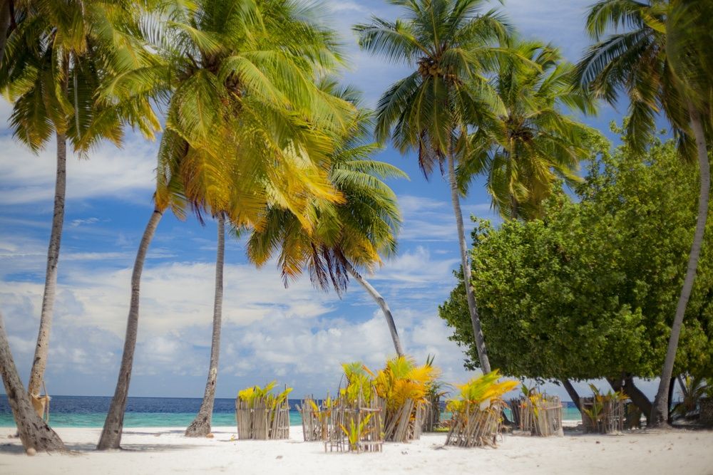 Dhonfulhafi Beach View & Spa фото 48