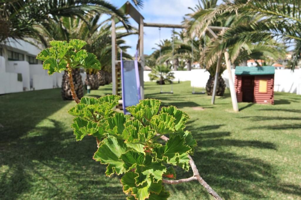 Hotel Torre Praia фото 9