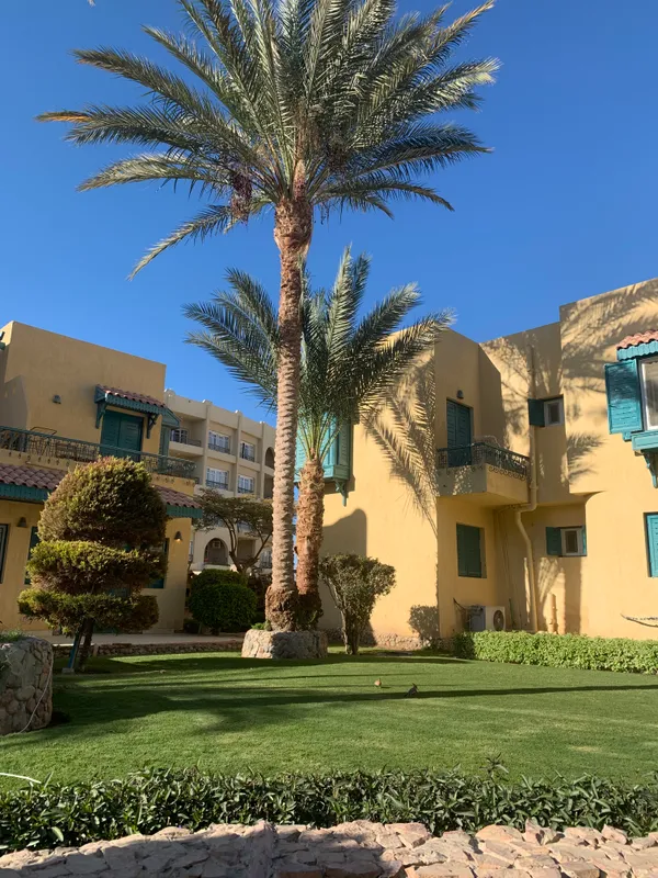 Eagles Down Town Zahabia Resort фото 117