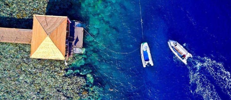 Фото отеля Rohanou Beach Resort and Ecolodge
