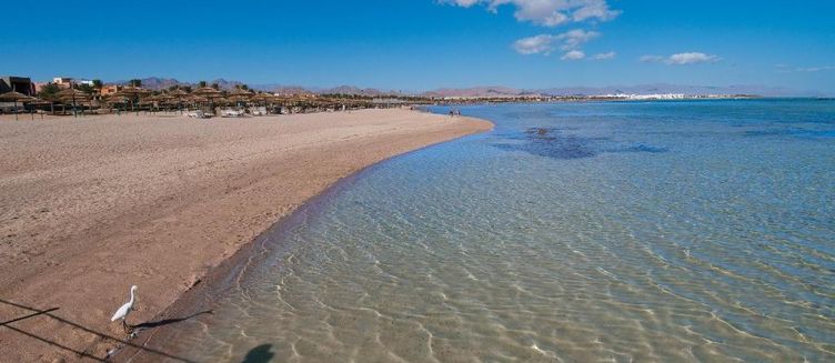 Фото отеля Amwaj Oyoun Resort