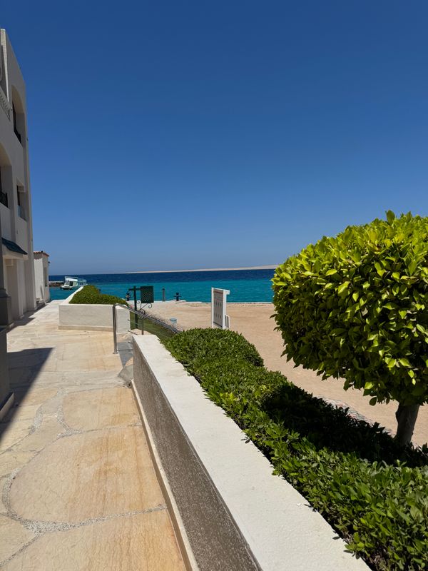 Sunny Days El Palacio Resort & Spa фото 251