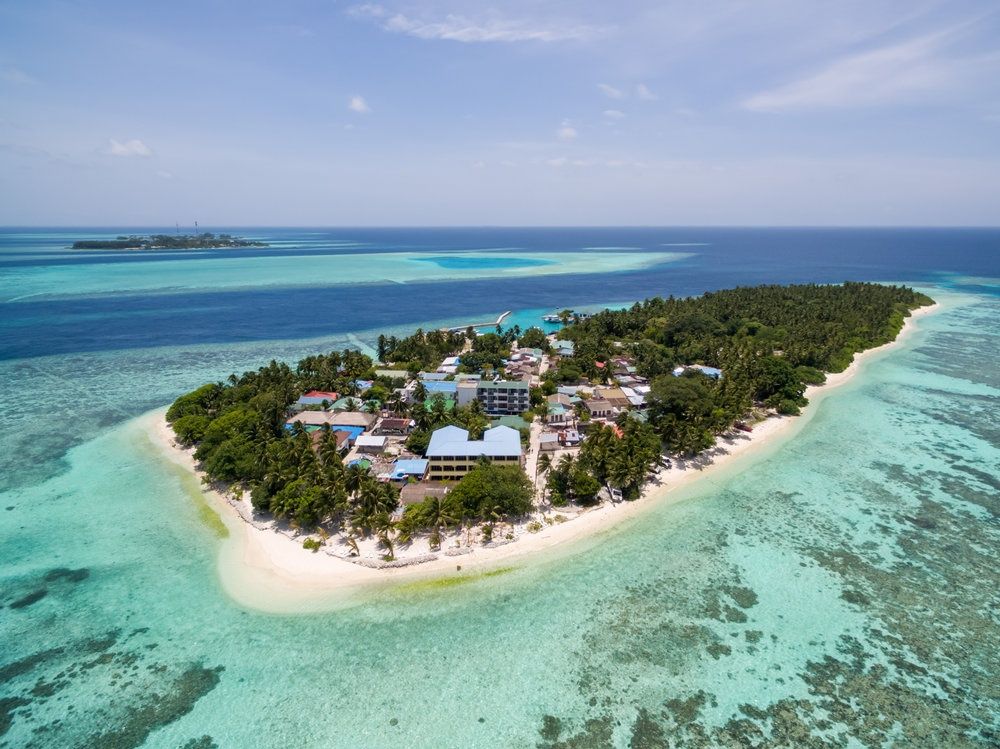 Guest House ««Plumeria Maldives» Guest House» фото 74