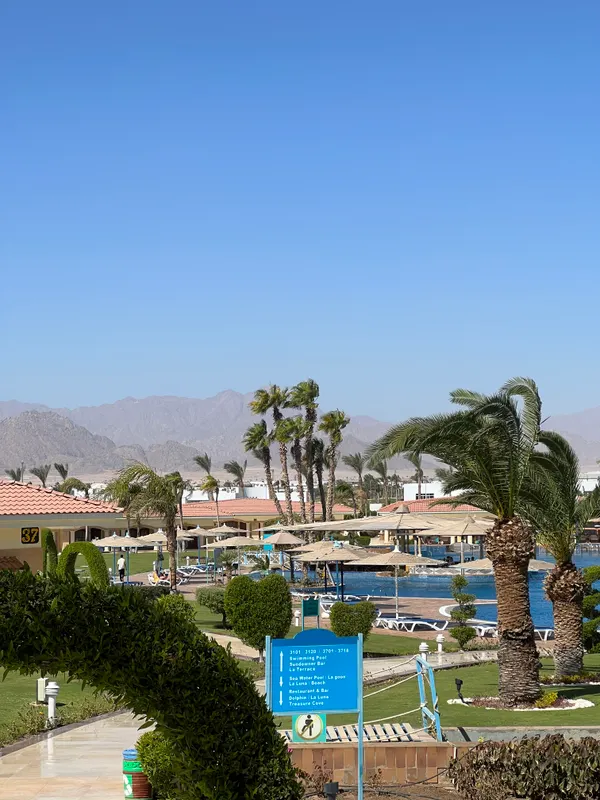 Pickalbatros Golf Beach Resort фото 114
