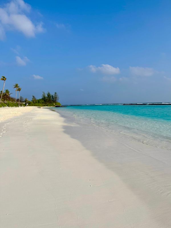 Joy Island фото 61