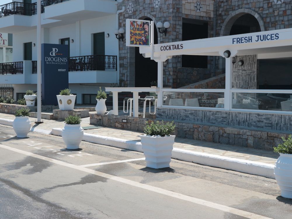 Diogenis Blue Palace фото 20