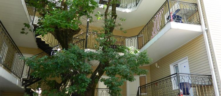 Фото отеля Лукоморье