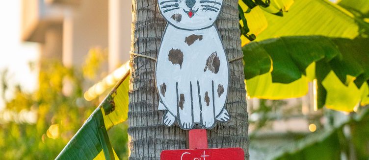 Фото отеля Labranda Lebedos Princess