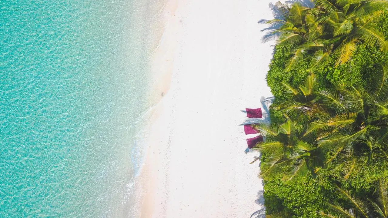 Dhiguveli Maldives фото 4