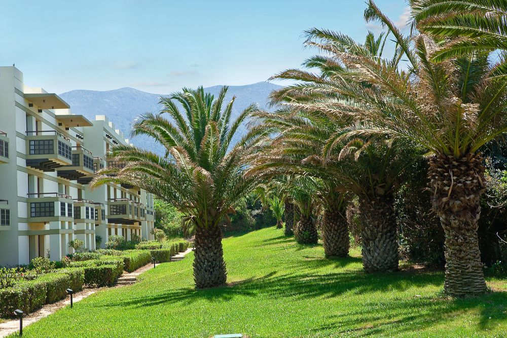 Grecotel Meli Palace фото 18