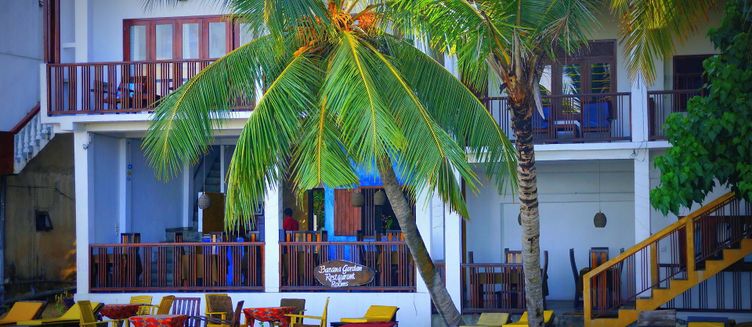 Фото отеля Banana Garden Hotel