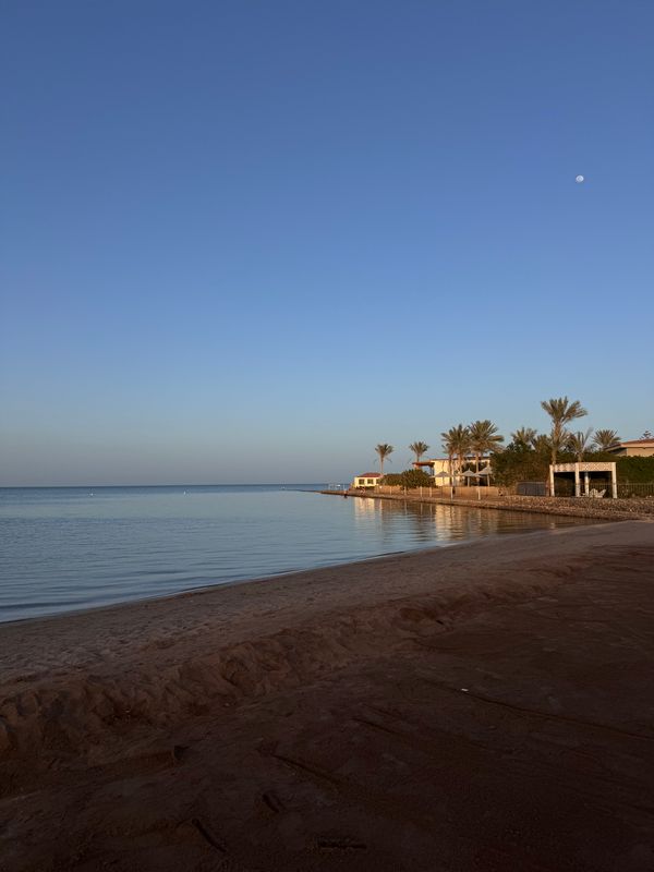 Rewaya Majestic Resort фото 366