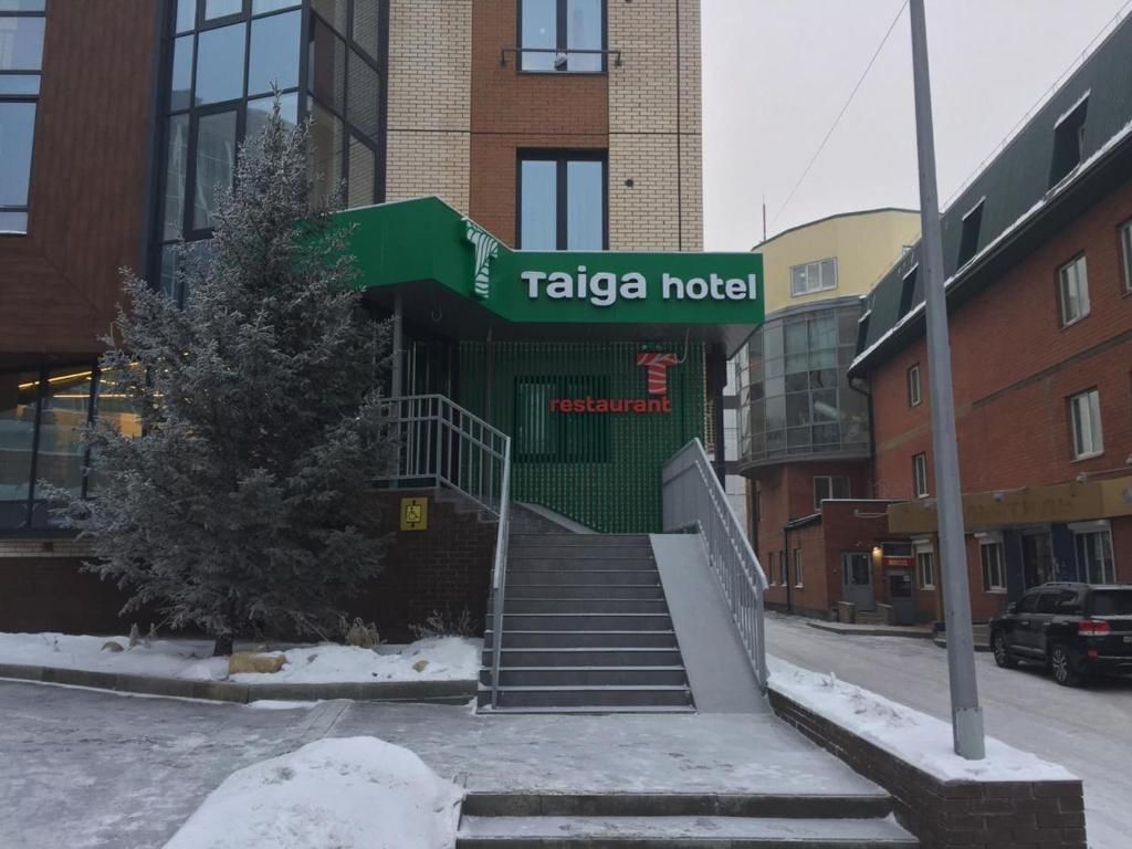 Тайга фото 39