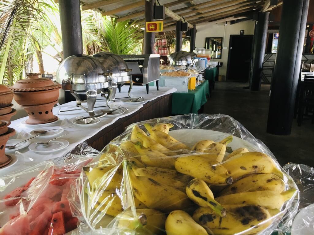 Medilla Island фото 2