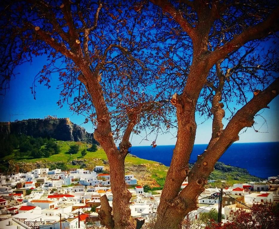 Little Lindos Sea View Studios фото 4