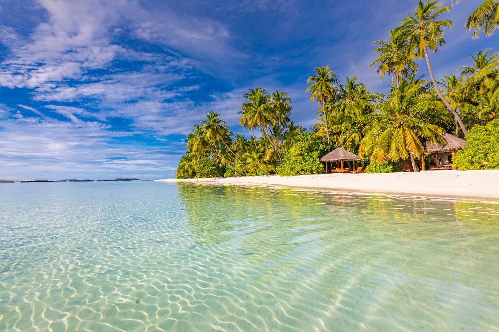 Sun Siyam Vilu Reef фото 43
