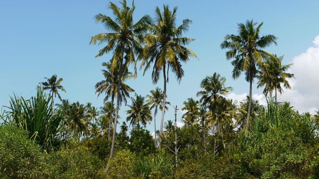Barefoot Zanzibar фото 16