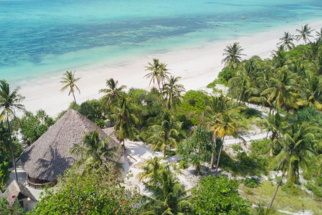 Zanzibar Pearl Boutique Hotel & Villas фото 19