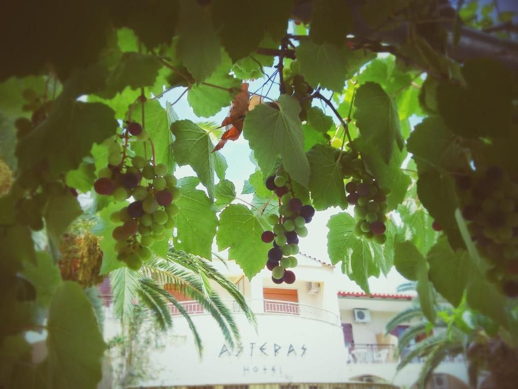 Asteras Hotel фото 4