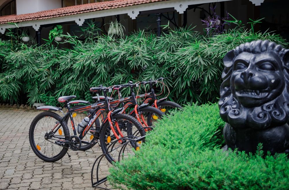 Heritage Village Resort & Spa, Goa фото 126