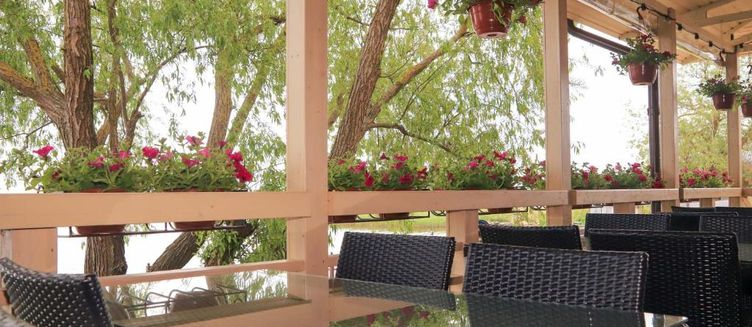 Фото отеля АУРА