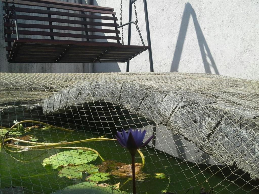 Гостевой дом «Sea View Guesthouse and Restaurant» фото 5