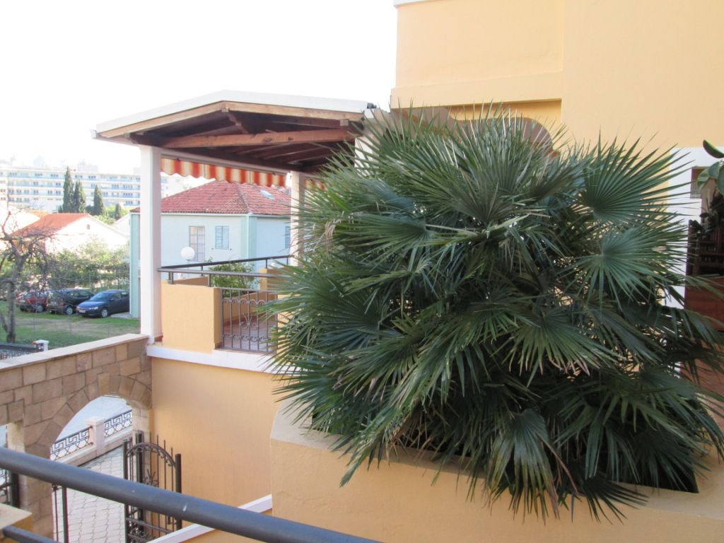 Villa Ljubanovic фото 2