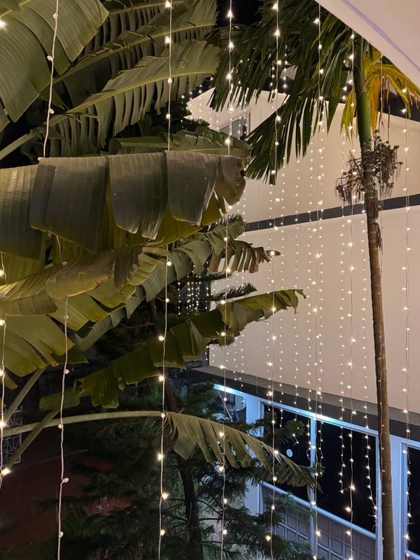 Guest House «Laxmi Guest House» фото 14
