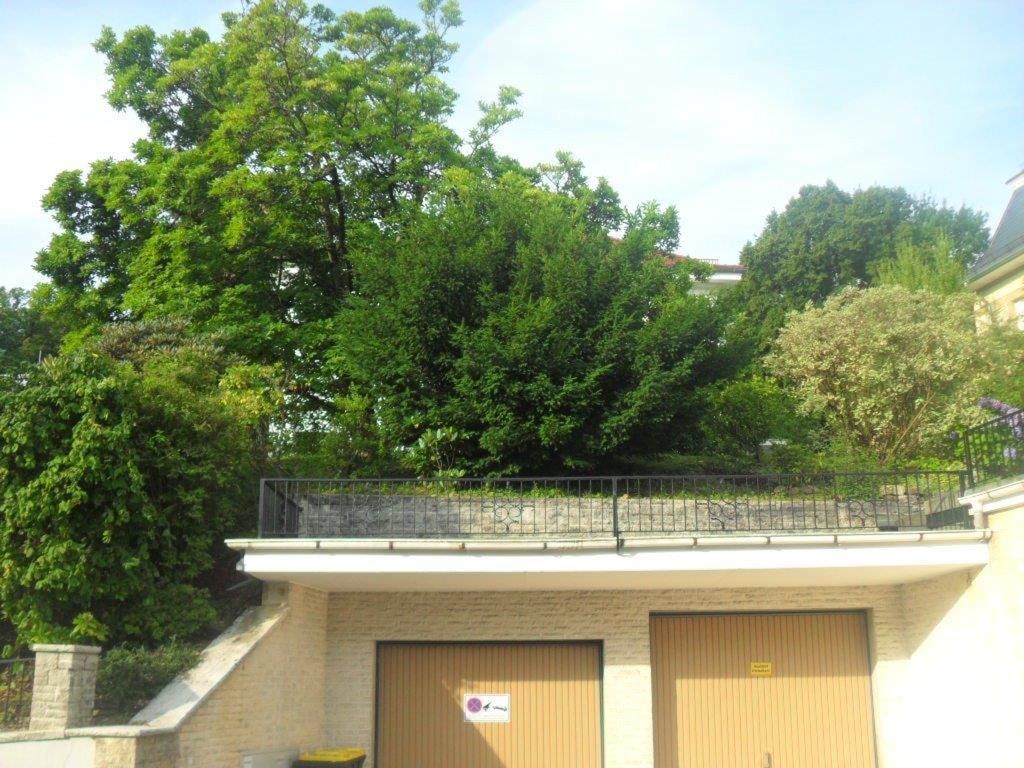 Haus Sahlbach фото 18