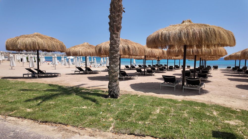 Al Kasr фото 9