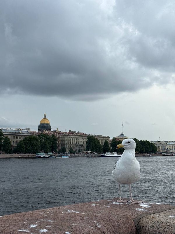 Azimut Сити Отель Санкт-Петербург фото 28