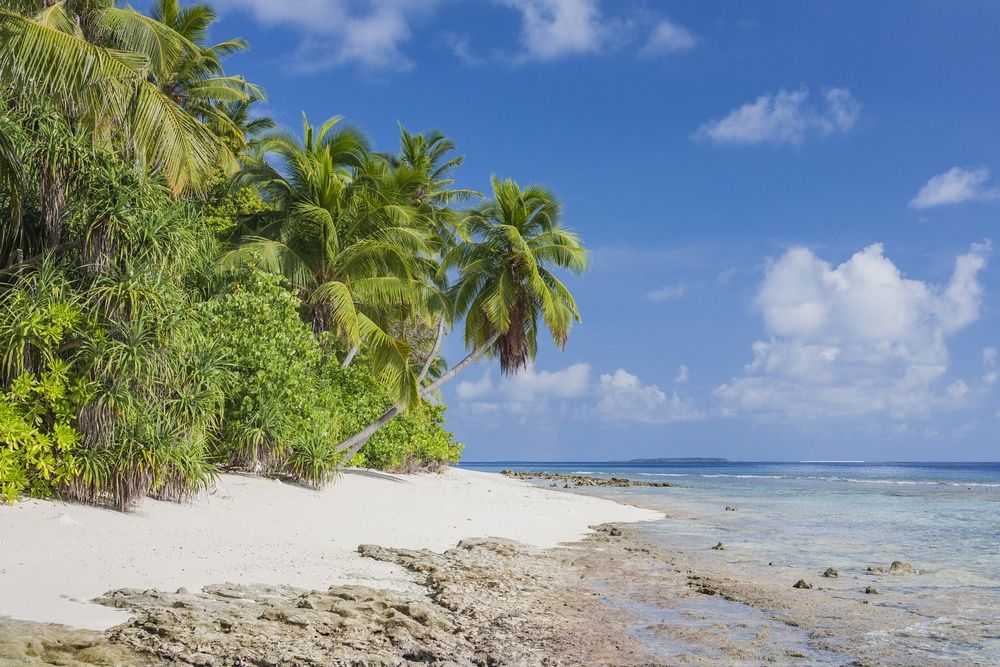 Dhonfulhafi Beach View & Spa фото 47