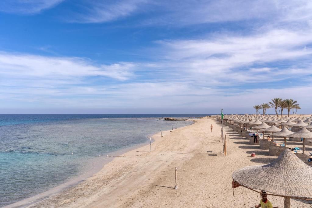 Malikia Resort Abu Dabbab фото 32