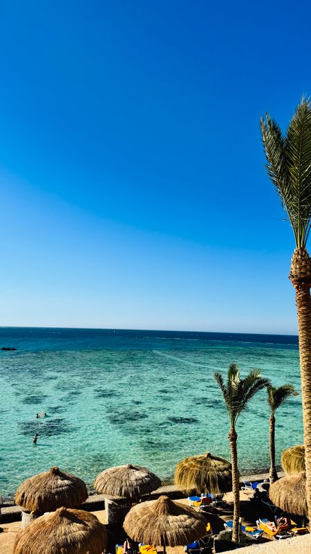 Sunny Days El Palacio Resort & Spa фото 66