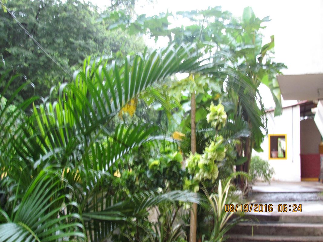 Kiara BnB Home фото 27