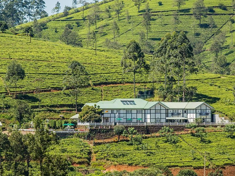 Amaya Langdale Nuwara Eliya фото 15