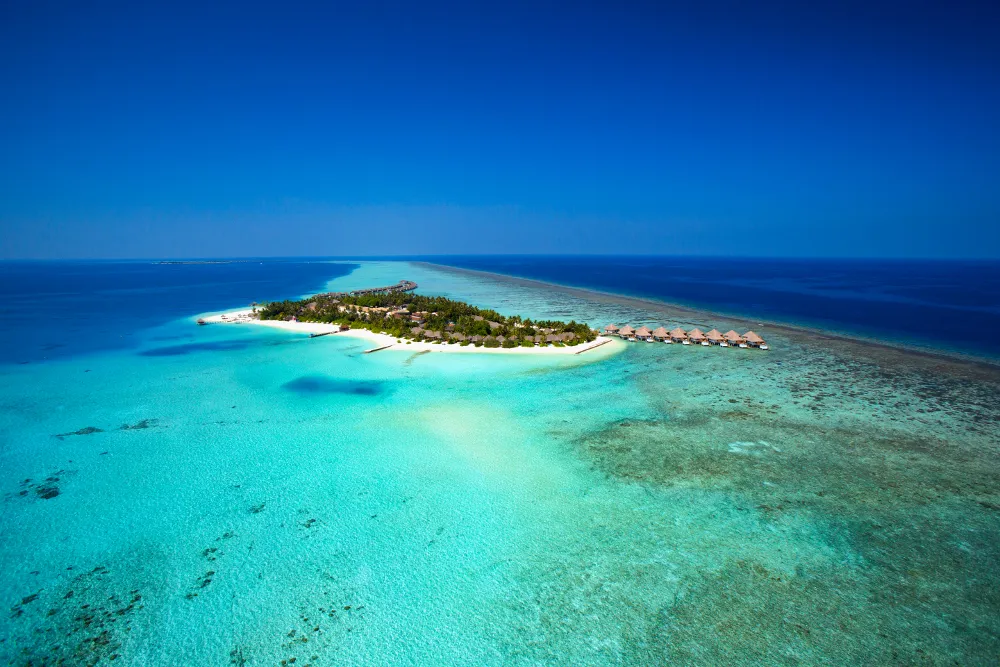 Niva Velassaru Maldives фото 29