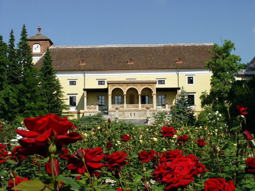 Schloss Weikersdorf фото 0