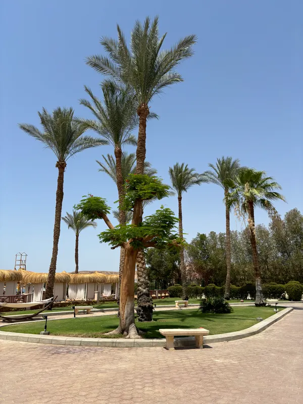 Jaz Elite Palace (Adults Only) фото 66