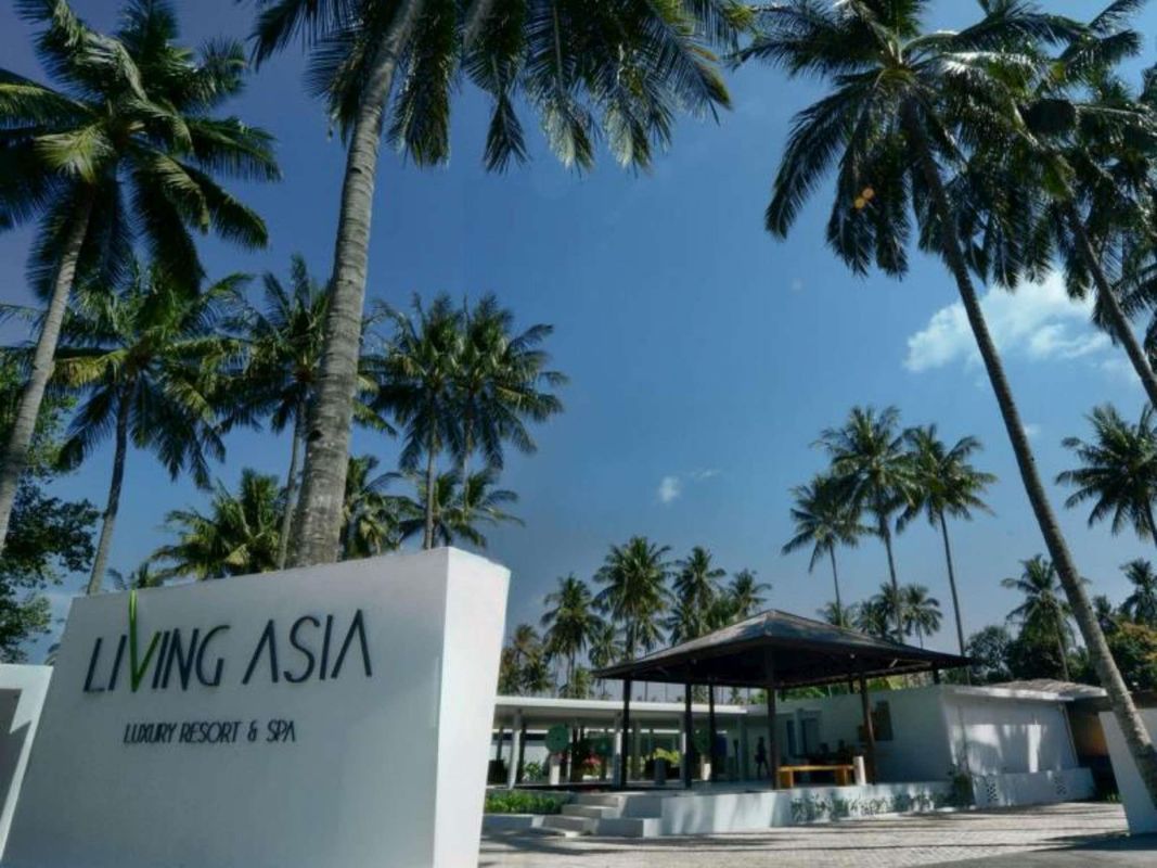 Living Asia фото 28