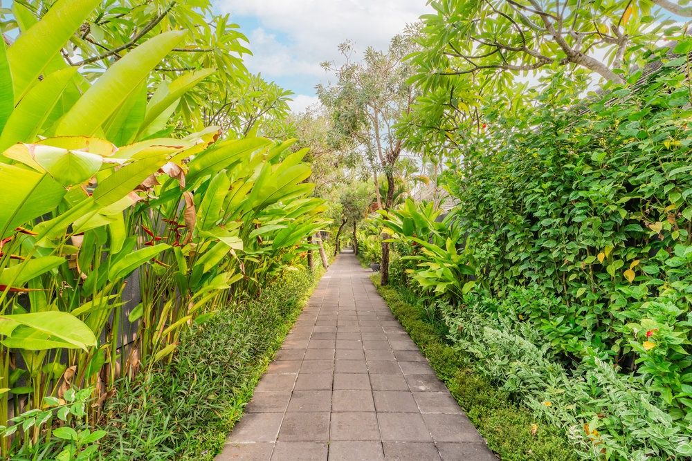 Javana Royal Villas фото 19