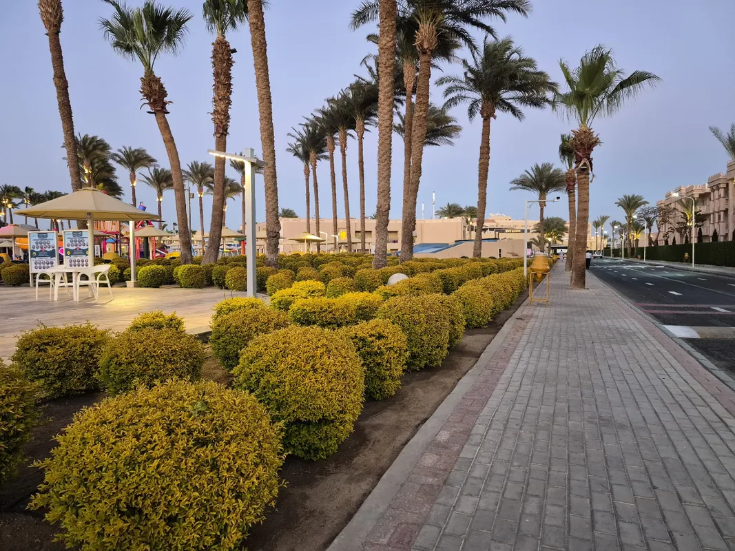 Beach Albatros Resort Hurghada фото 54
