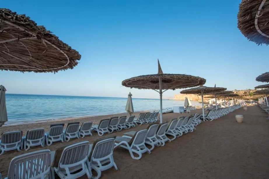 Reef Oasis Beach Resort фото 32