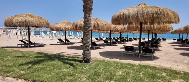 Фото отеля Al Kasr