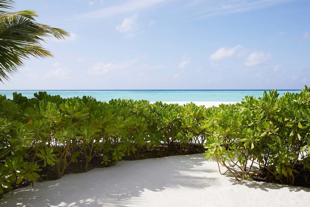 Le Meridien Maldives Resort & Spa фото 121