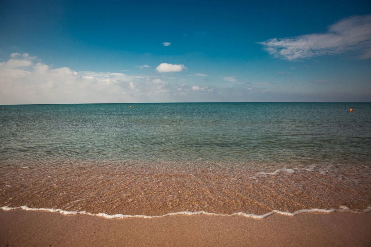 SeaLand фото 11