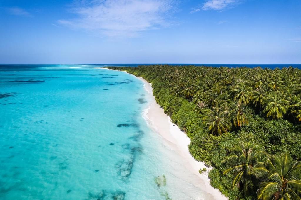 Island Luxury Boutique Hotel - Fulhadhoo фото 27