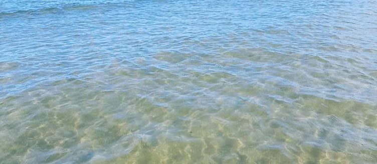 Фото отеля Casa Laura