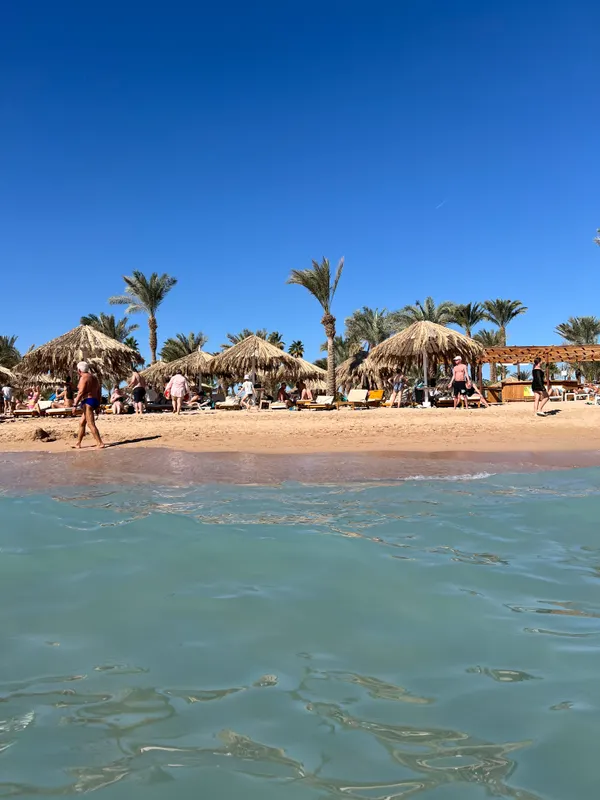 Jaz Sharm Dreams фото 95